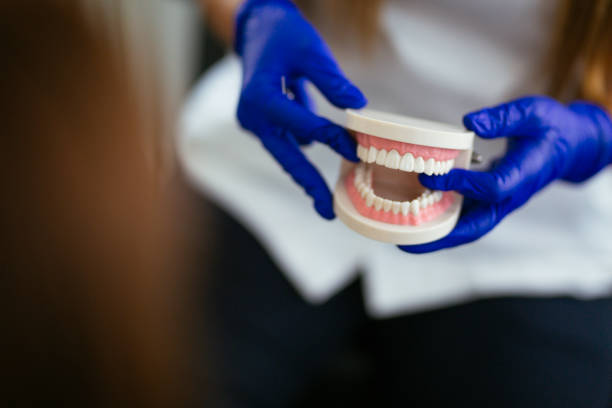  Wlow Springs, IL Holistic Dental Care Services Pros